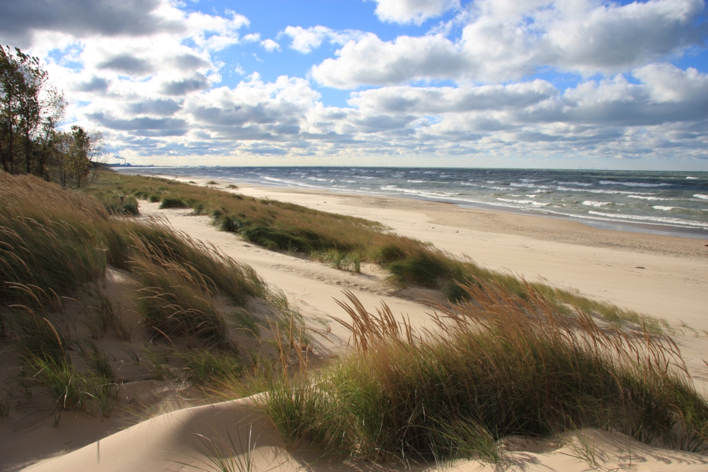 Dunes At Noon